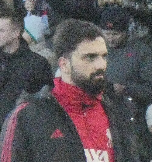 Giorgi Mamardashvili