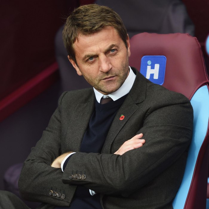 Tim Sherwood